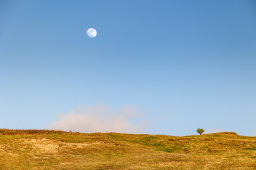 Mond über dem Hügel